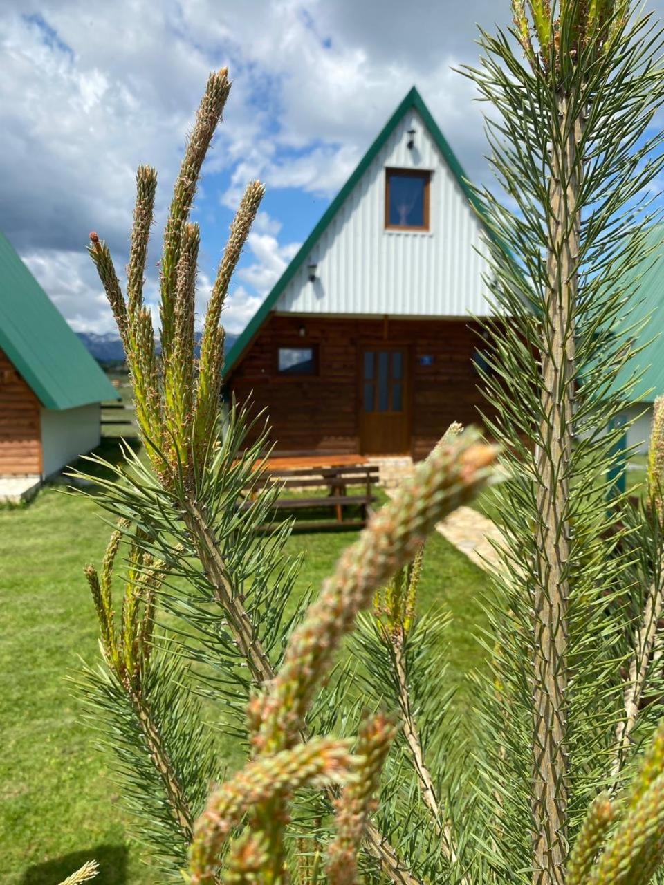 Family House Eagle Eye Villa Zabljak  Exterior photo